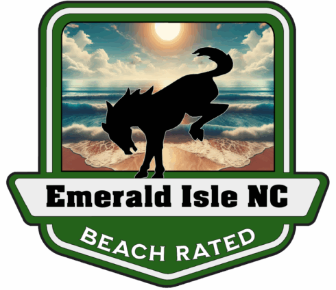 EI Beach Rated Ford Bronco Medallion
