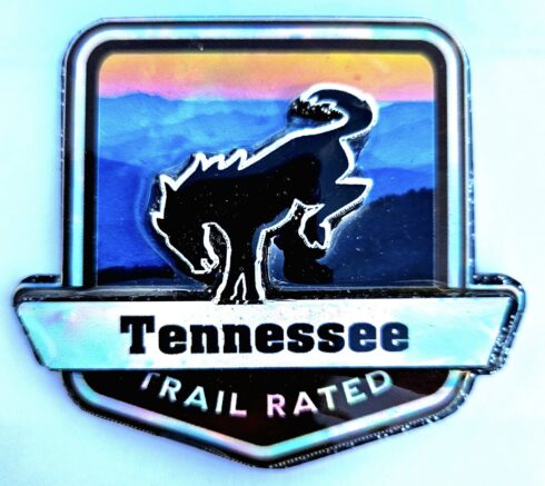 Tennessee Trail Rated Bronco Medallion in sunlight -visual description