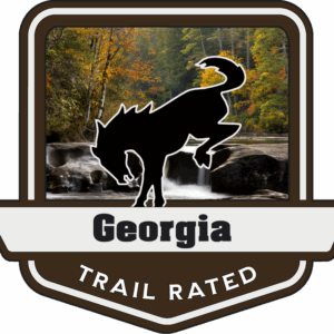 Georgia Trail Rated Bronco Medallion