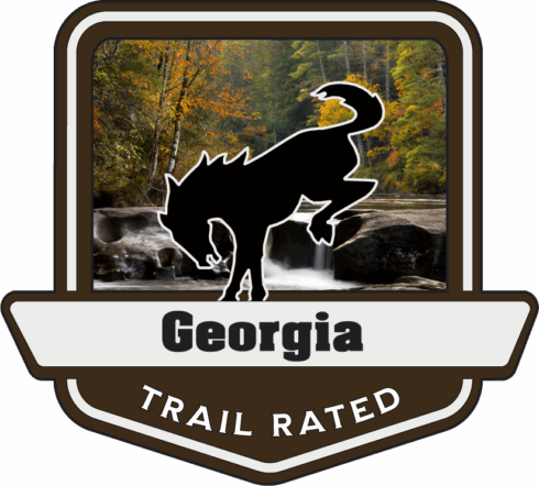 Georgia Trail Rated Bronco Medallion -visual description