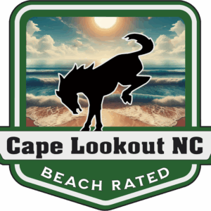 Cape Lookout Beach Rated Bronco Medallion