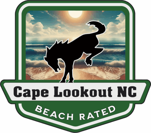 Cape Lookout Beach Rated Bronco Medallion -visual description