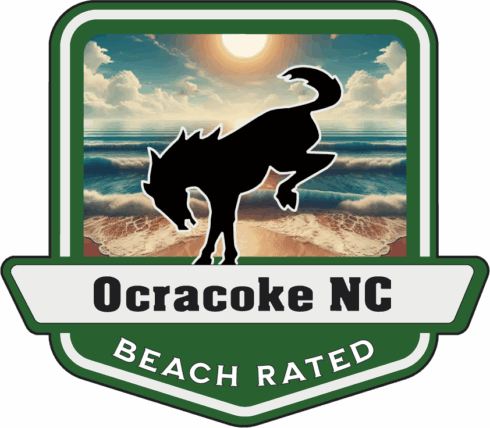 Ocracoke Beach Rated Bronco Medallion