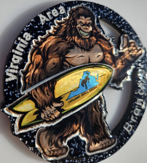 Virginia Area Broncos Medallion -visual description