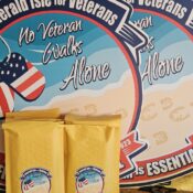 Emerald Isle for Veterans Panel -visual description